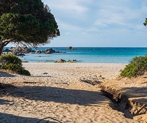 cala cipolla