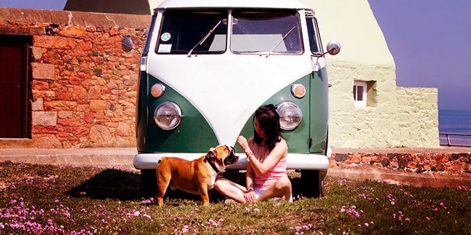 camper with pets