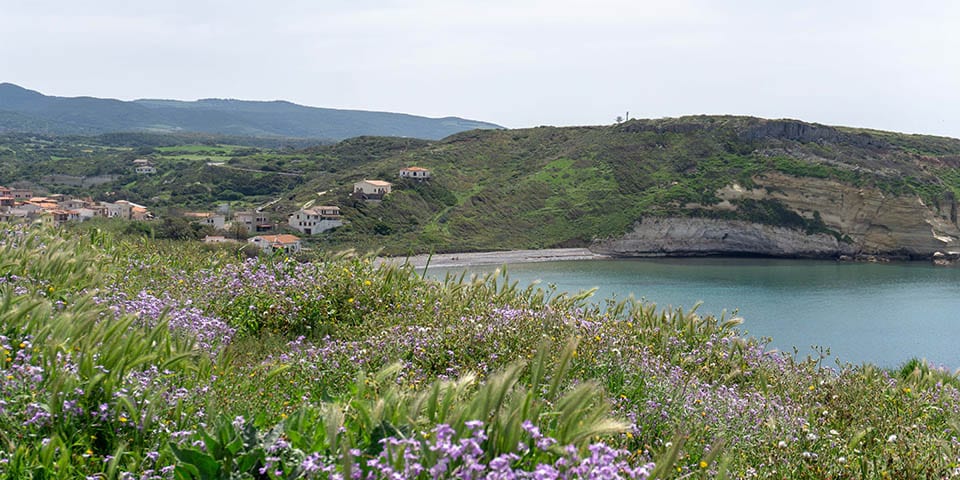 El mar en la costa oeste de Cerdeña en Santa Caterina di Pittinurri, desde la colina con las flores
