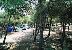 Camping Village Li Nibari | Aree di sosta camper in Sardegna